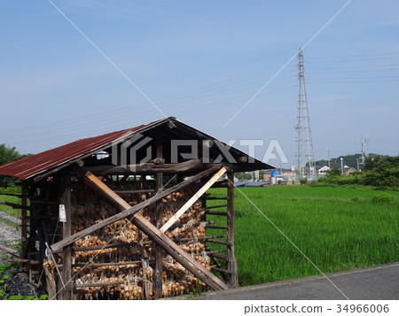 Hag onion hut 34966006