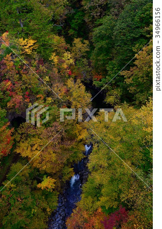 Autumn leaves in Fukushima Nakatsugawa Valley Autumn leaves in Fukushima Nakatsugawa Valley 34966156