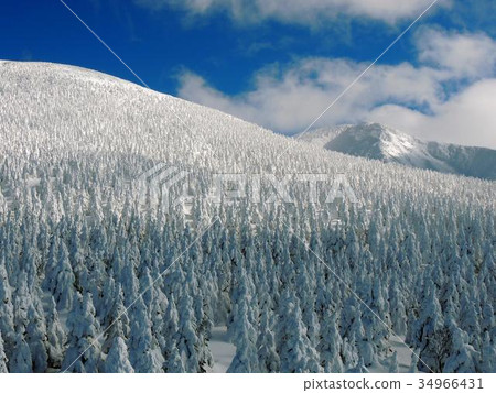 Zao's ice crystal 34966431