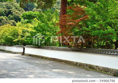  Tile fence 34966796