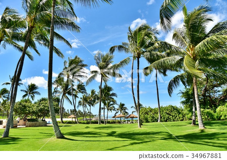 Holidays in Hawaii Holidays in Hawaii 34967881