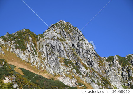 Senjakiken curl in autumn Senjakiken curl in autumn 34968040