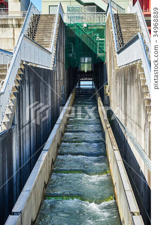 Nibutani Dam Fishway 34968889