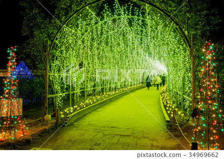 Ashikaga Flower Park illumination tunnel of light 34969662
