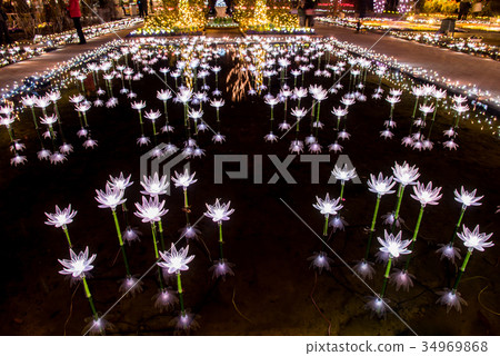 Ashiga花卉公園照明 34969868