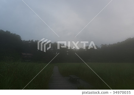 Kurosawa wetland wrapped in morning mist 34970035