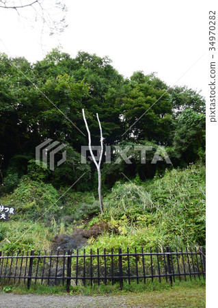 Geyser (before spouting) 34970282