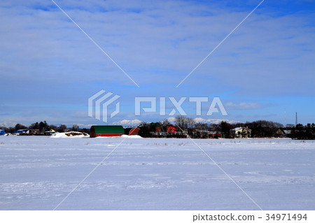 札幌冬季場景 札幌冬季場景 34971494