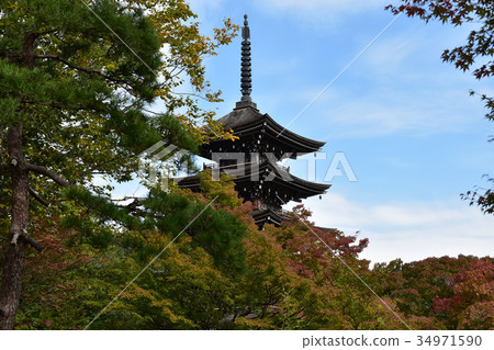 Five-storied pagoda and autumn leaves 34971590