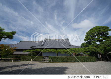 Umiido 2998 34971629