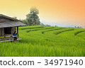 Woman tourism sitting in bamboo hut to see view 34971940