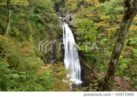 Akiho Falls and autumn leaves Akiho Falls and autumn leaves 34971999