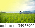 A woman, tourism enjoy on beautiful rice field 34972009