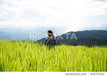 A woman, tourism enjoy on beautiful rice field A woman, tourism enjoy on beautiful rice field 34972010