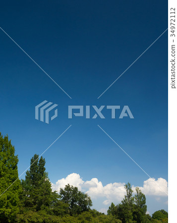 Blue sky and trees Blue sky and trees 34972112