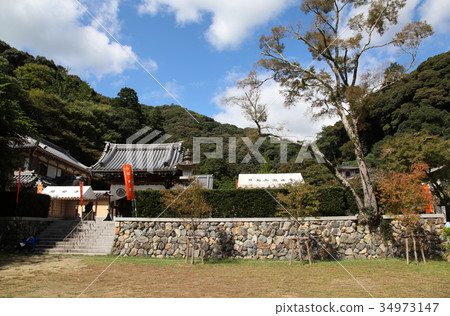 少安寺美濃公園Tokuji Shoji 少安寺美濃公園Tokuji Shoji 34973147
