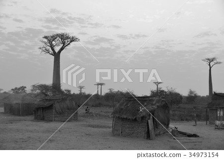 Madagascar Baobab Highway _ 15 34973154