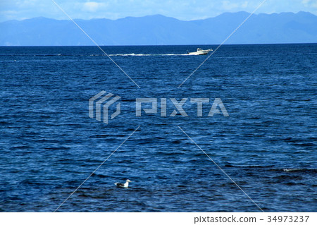 夏天在北海道的shakedown半島 34973237