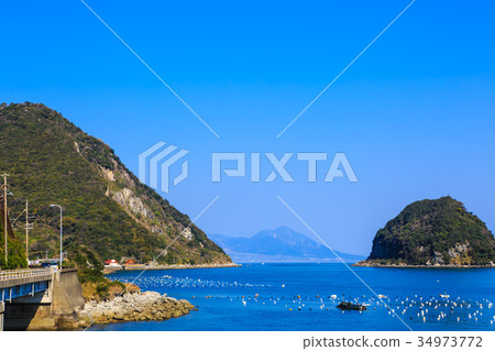 Triangular Nose seaweed aquaculture landscape Amakusa 34973772