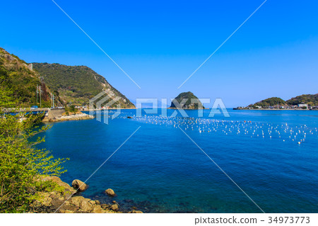 三角鼻子海草水產養殖風景天草 34973773