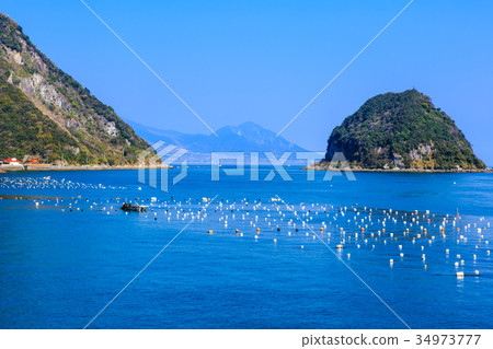 三角鼻子海草水產養殖風景天草 34973777