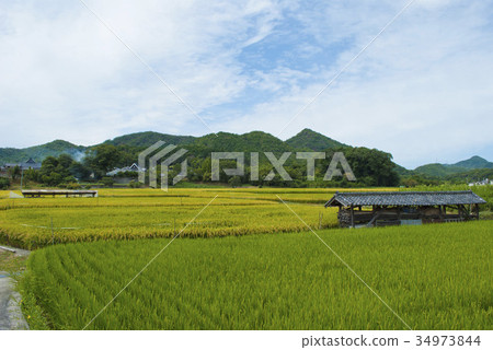 The rural scene of Osaka Prefecture Nose 34973844