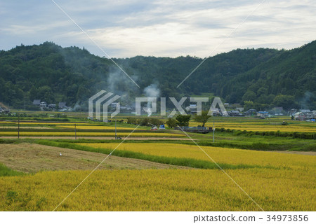 大阪府鼻子的農村現場 大阪府鼻子的農村現場 34973856