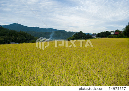 The rural scene of Osaka Prefecture Nose 34973857