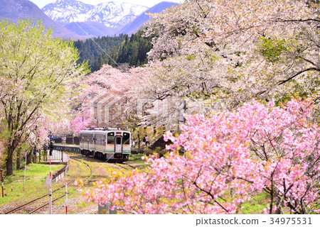 櫻花和Yunokami溫泉站盛開 櫻花和Yunokami溫泉站盛開 34975531