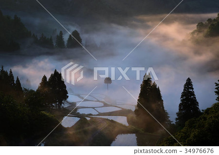 Dyed sea of clouds 34976676