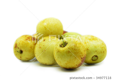 Ziziphus jujube Chinese date Ziziphus jujube Chinese date 34977118