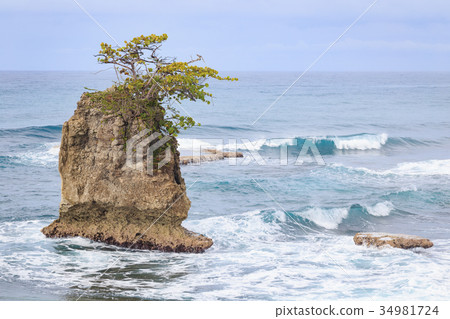 Rock formation at Manzanillo Costa Rica Rock formation at Manzanillo Costa Rica 34981724