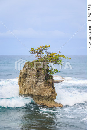 Rock formation at Manzanillo Costa Rica 34981726