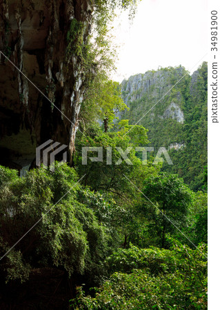 Cave entrance and forest in Niah national park 34981900