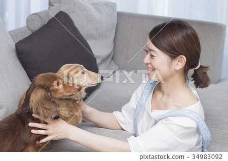 家庭主婦和微型臘腸犬 34983092