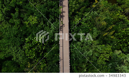 Walkway in the forest on bird eye view Walkway in the forest on bird eye view 34983343