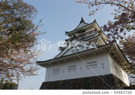 Kitsuki Castle and Sakura 34983788
