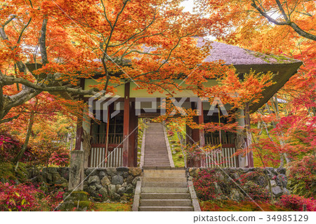 Jojakko Temple Kyoto 34985129
