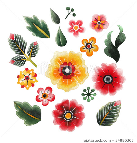 Watercolor floral collection Watercolor floral collection 34990305
