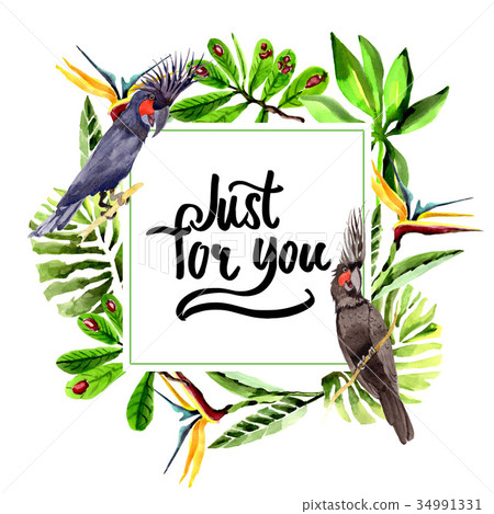 Sky bird black macaw frame in a wildlife by Sky bird black macaw frame in a wildlife by 34991331