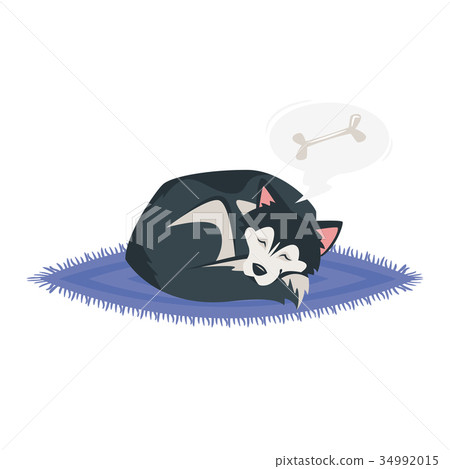 husky dog sleeping 34992015