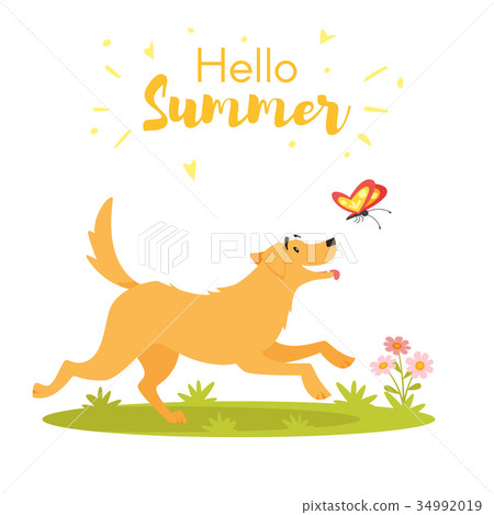 dog with butterfly dog with butterfly 34992019