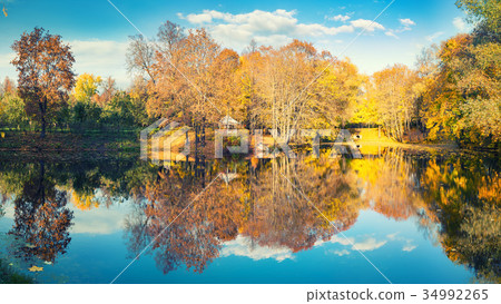 Sunny autumn in the park over lake Sunny autumn in the park over lake 34992265