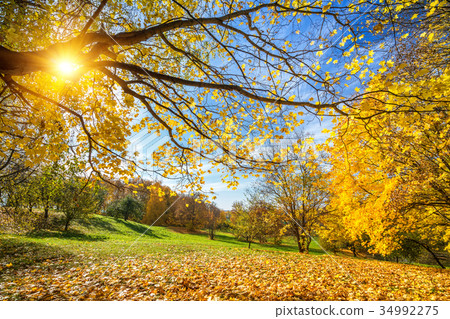 Sunny autumn in countryside Sunny autumn in countryside 34992275