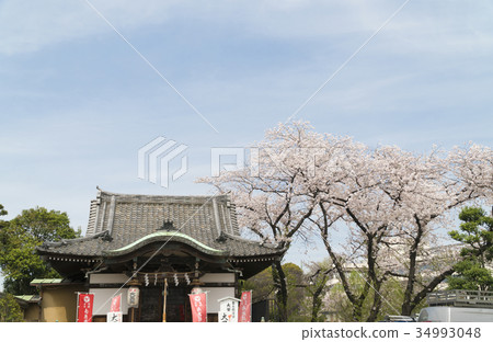 上野公園Yanaka七幸運神Daikokudo佐倉 34993048