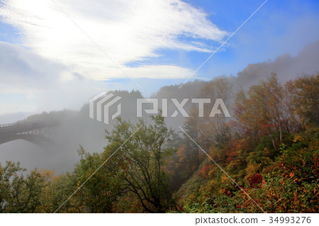 Tsubururo Valley Autumn leaves 34993276