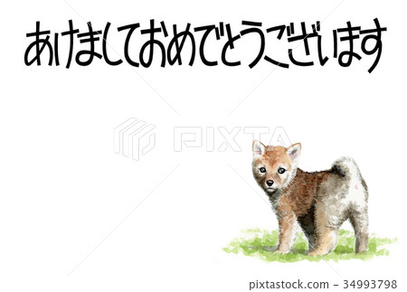 Material of the dog with the word of the dog 34993798