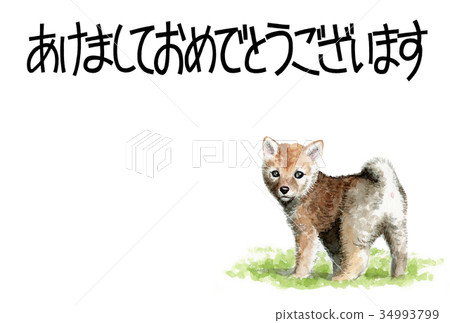 Material of the dog with the word of the dog 34993799