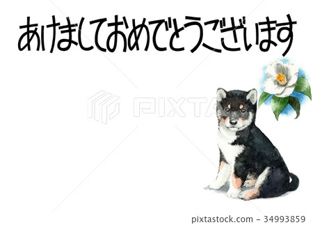 New Year's card postcard material black rattan dog horizontal type with dog's song 34993859