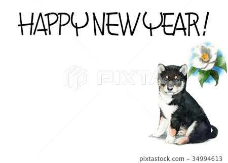 New Year's card postcard material black rattan dog horizontal type with dog's song New Year's card postcard material black rattan dog horizontal type with dog's song 34994613
